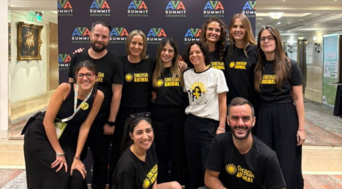 Sinergia Animal Lidera la Agenda de Bienestar Animal en el AVA Summit Argentina