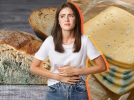 ¿por Qué No Se Debe Ingerir Alimentos Si Ya Presentan Moho? Esto Dicen los Expertos en Salud