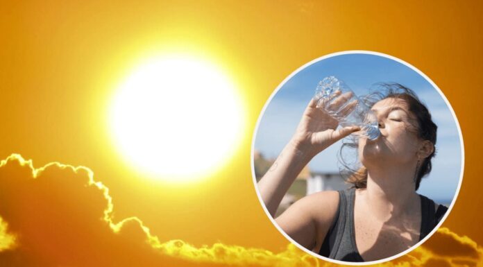 ¿cuánta Agua Debo de Tomar para No Deshidratarme Esta Temporada de Calor?
