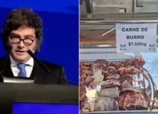 La Reacción del Gobierno de Javier Milei Sobre la Venta de Carne de Burro en Chubut: «operación Internacional»