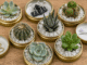 Si Tenés Tapas de Mermelada, No las Tires: 4 Ideas Modernas para Reutilizarlas en Casa