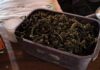 Un Control Sobre Ruta 22 Destapó una Trama Narco Entre Neuquén y Río Negro: 14 Kilos de Marihuana y Dos Imputados