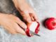 ¿es óptimo Comer la Manzana con Cáscara o Sin Ella? Lo que Dice la Ciencia Sobre su Fibra