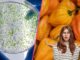 El Chile Habanero Podría Ayudar a Combatir Bacterias Resistentes, Según Científicos de la UNAM