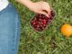 ¿Cuáles Son las Frutas con Más Pesticidas? Conoce la Lista Completa