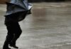 Alerta por Lluvia en Neuquén y Río Negro Este Martes 5: en Dónde Se Eleva a «naranja» y en Qué Parte Esperan Viento Zonda