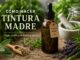 Cómo Hacer Tintura Madre de Cualquier Planta